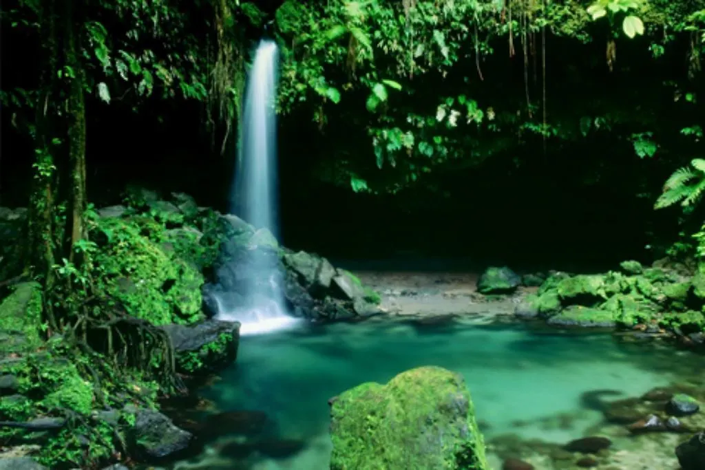 Sea Breeze Inn Castle Bruce 3*,  Dominica